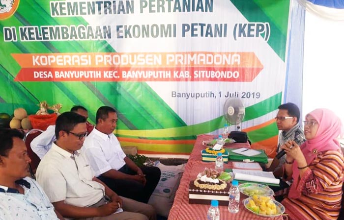 KEP Berprestasi, Pusluhtan Verifikasi Lapang KEP Produsen Primadona di Situbondo